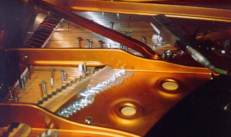 Fotografa del interior de un piano preparado