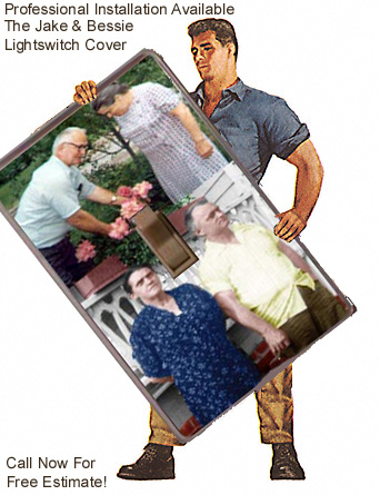 Hillary Clinton Shows Off Her New Jake & Bessie Lightswitch Cover