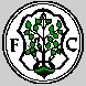FC Homburg