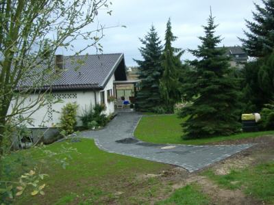 Das neu ges�te Gras ist voll am Wachsen