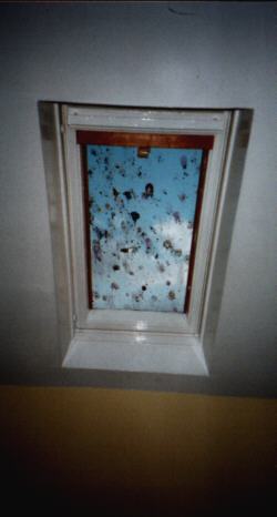 Blick auf das Fenster