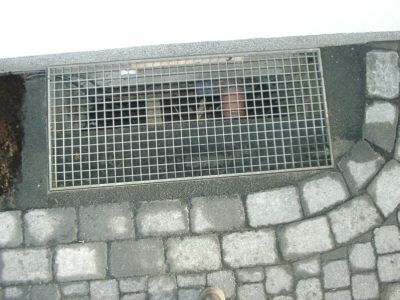 Papas Meisterst�ck: Das Kellerfenstergitter in geschmackvollem Beton
