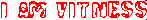 � ���������