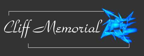 COPYRIGHT 1998-2000   Metallica's Bleeding Asylum