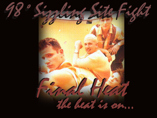sitefight.jpg (18129 bytes)