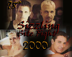 sitefight.jpg (18129 bytes)