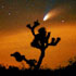 Comet