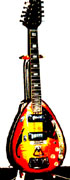 Vox 12 St