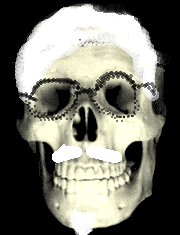 bigskula.gif (126900 bytes) 