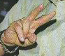PEACE!!