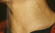 neck...
