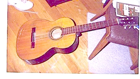 THROBBIN' BABE GUITAR