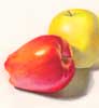 Apples