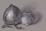 Onion & Garlic