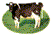 vache.gif (1785 octets)