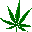 Drugs are fun and good to use. A note for my dear police people ONLY: This is a joke. Don't arrest me now.
