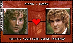What's your FOTR slash pairing?