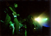 8skywise2.jpg (8275 bytes)