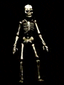 I Stole Him From Chris Mcpherson's Website. HA HA!