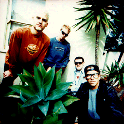 palmsprings.GIF (45269 bytes)
