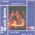 the beach boys