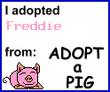 You too can adopt a pig! Just click on it to get yours