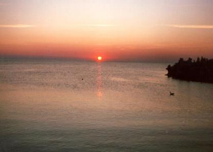 The dawn