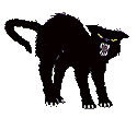 Spitting Kitty