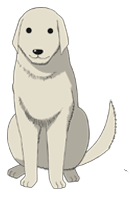 Tadakichi