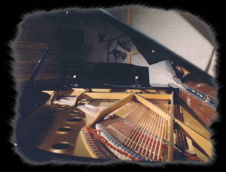 Kawai Artist's Program Select - Magical Sounding!