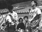 Plastics live
