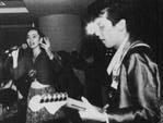 Plastics live