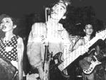 Plastics live