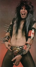 CodpieceS.jpg (10844 bytes)