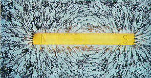 iron filings reveal the lines of force/ magnetic field