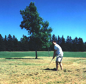 Larry battling the 6th hole rough