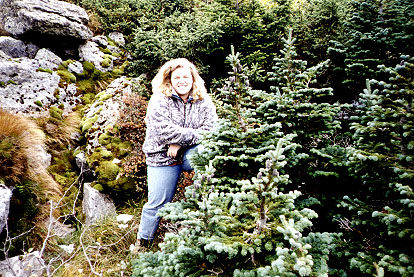 I love those little trees