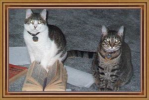 Chatty and Johy Studying