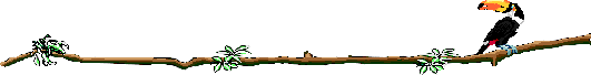 /user/a_toucanflipGIF.gif