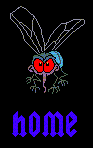 /user/fly12.gif