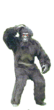 /user/APE1USE.gif