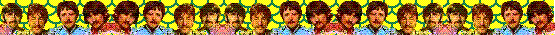 We're Sgt Peppers Lonely Hearts Club band, we hope you have enjoyed this page!