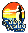 CABO WABO.com