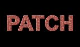 Download The Patch Of The Game
