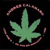andrés calamaro - Live in Ayacucho 88