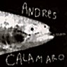 andrs calamaro - el salmon (simple)