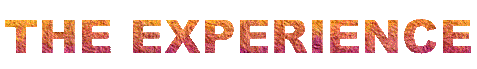 Aexperience_header.gif (6566 bytes)