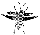 wpe1.gif (5294 Byte)