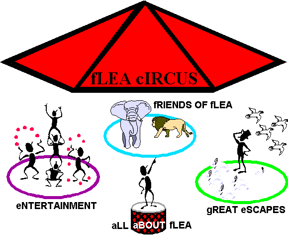 the BIGtop