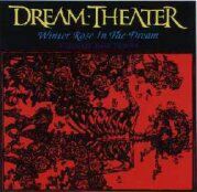 Winter Rose In The Dream - Cover